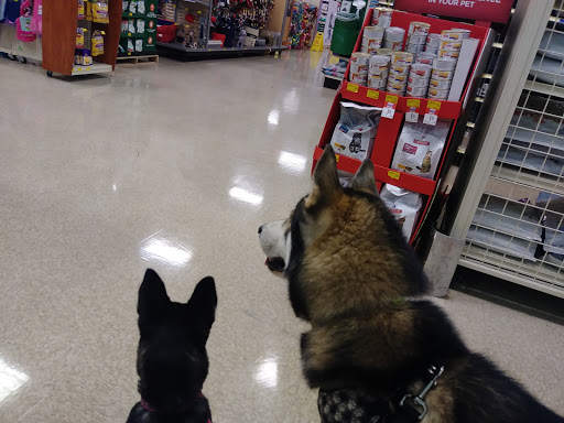 Pet Supply Store «PetSmart», reviews and photos, 1836 Joe Battle Blvd, El Paso, TX 79936, USA