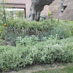 Photo n°1 de l'avis de Francesca.r fait le 23/07/2022 à 06:27 sur le  Brut Merate à Merate