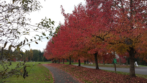 Park «McCollum Park», reviews and photos, 600 128th St SE, Everett, WA 98208, USA