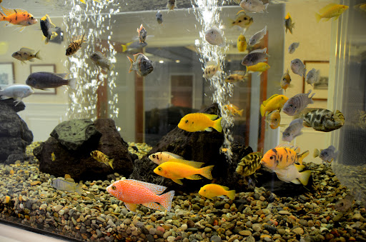 Funeral Home «Scott Funeral Home», reviews and photos, 2515 Veterans Pkwy, Jeffersonville, IN 47130, USA