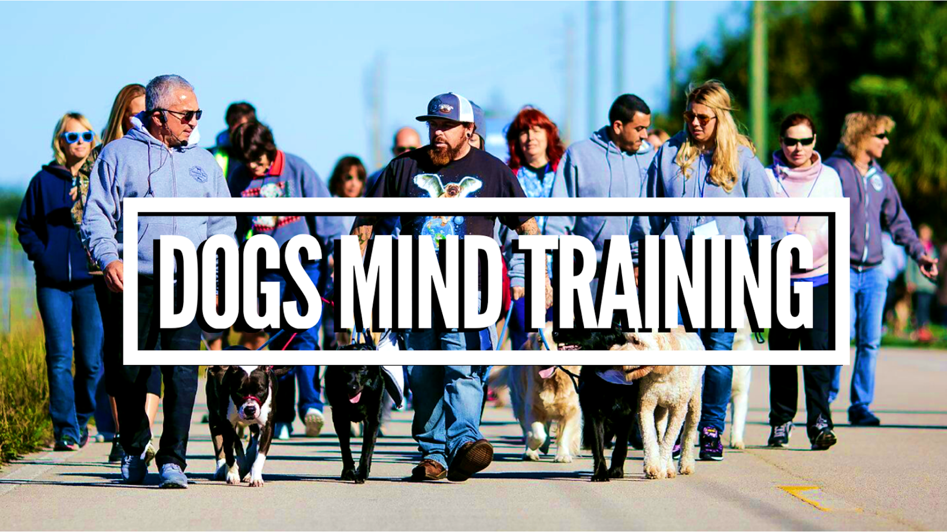 Dogs Mind Training