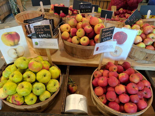 Orchard «Applecrest Farm Orchards», reviews and photos, 133 Exeter Rd, Hampton Falls, NH 03844, USA