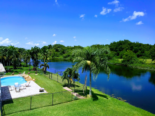 Nature Preserve «Pine Island Ridge Natural Area», reviews and photos, 3900 SW 100th Ave, Davie, FL 33328, USA