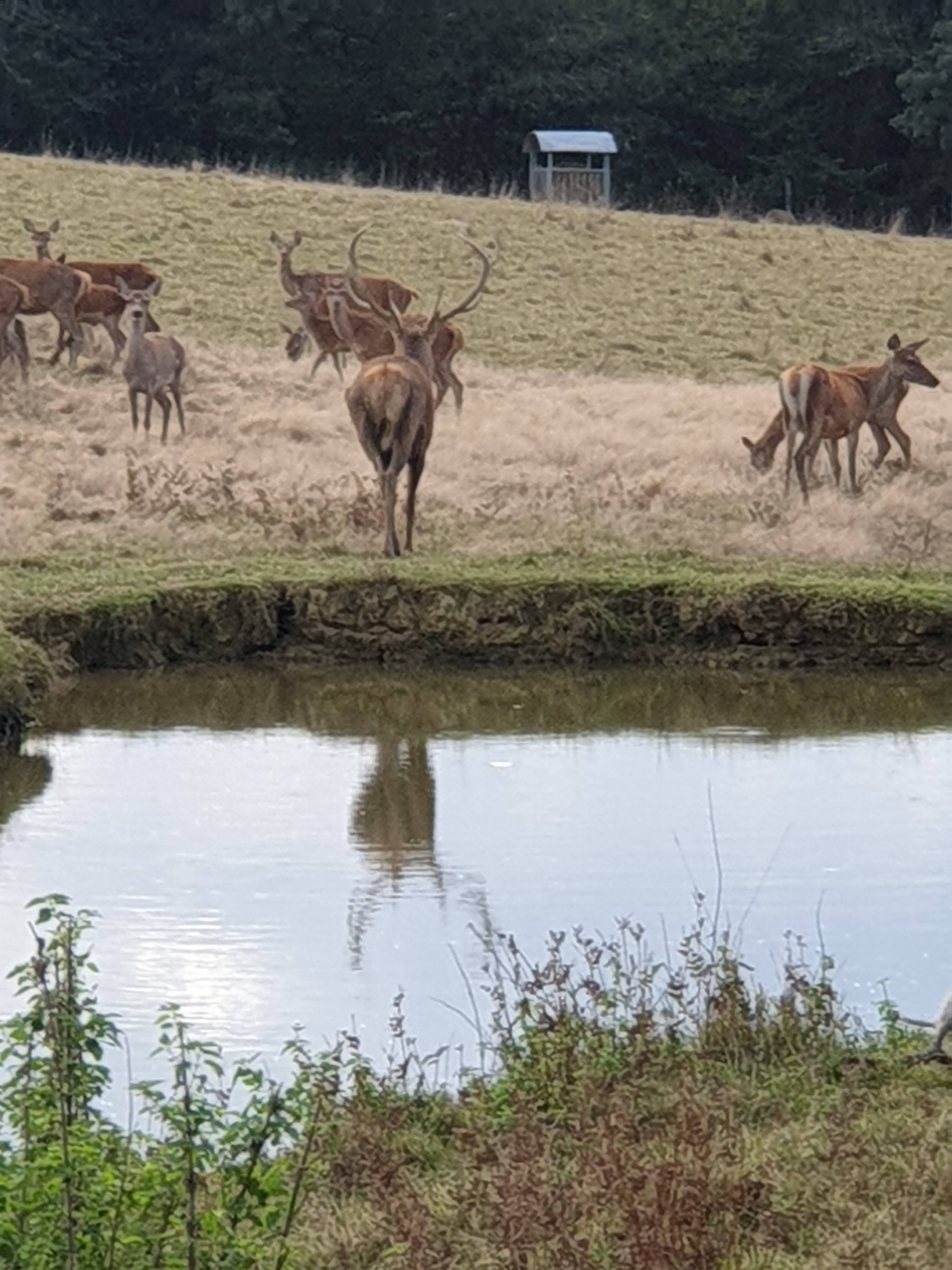 Photo n° 1 de l'avis de Jean-luc.h fait le 02/10/2021 à 17:17