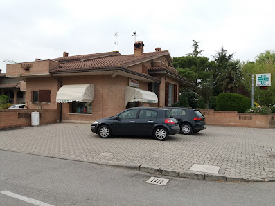 Farmacia Tosi Dr. Anna Via Provinciale Copparo Migliarino, 86/b, 44039 Tresigallo FE, Italia