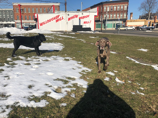 Insurance Company «Willoughby Insurance», reviews and photos