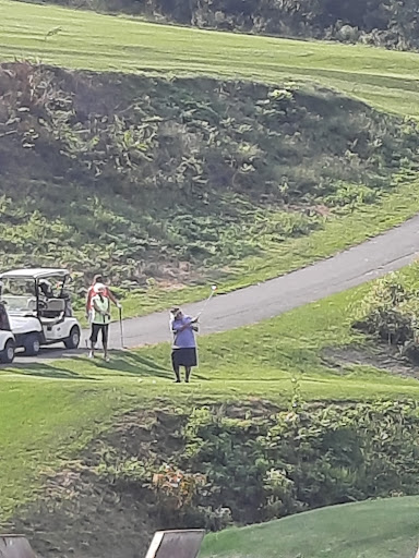 Golf Course «Willow Hollow Golf Course», reviews and photos, 619 Prison Rd, Leesport, PA 19533, USA