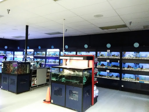 Pet Supply Store «Petco Animal Supplies», reviews and photos, 6596 Youree Dr, Shreveport, LA 71105, USA