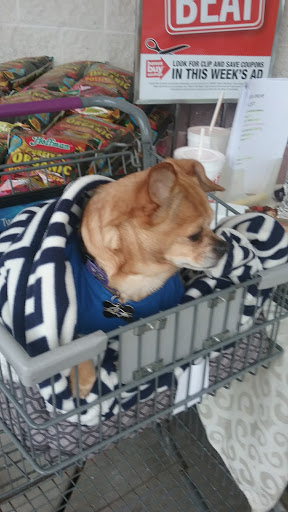 Grocery Store «Giant Food», reviews and photos, 3299 Emmorton Rd, Abingdon, MD 21009, USA