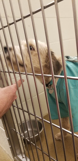 Non-Profit Organization «Heartland Humane Society», reviews and photos, 398 SW Twin Oaks Cir, Corvallis, OR 97333, USA