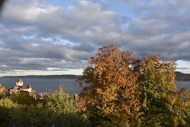 Rezensionen über MediaPixel Immobilier SA in Yverdon-les-Bains - Immobilienmakler