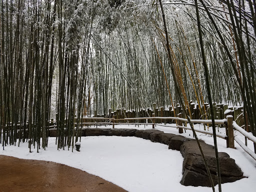 Zoo «Nashville Zoo at Grassmere», reviews and photos, 3777 Nolensville Pike, Nashville, TN 37211, USA