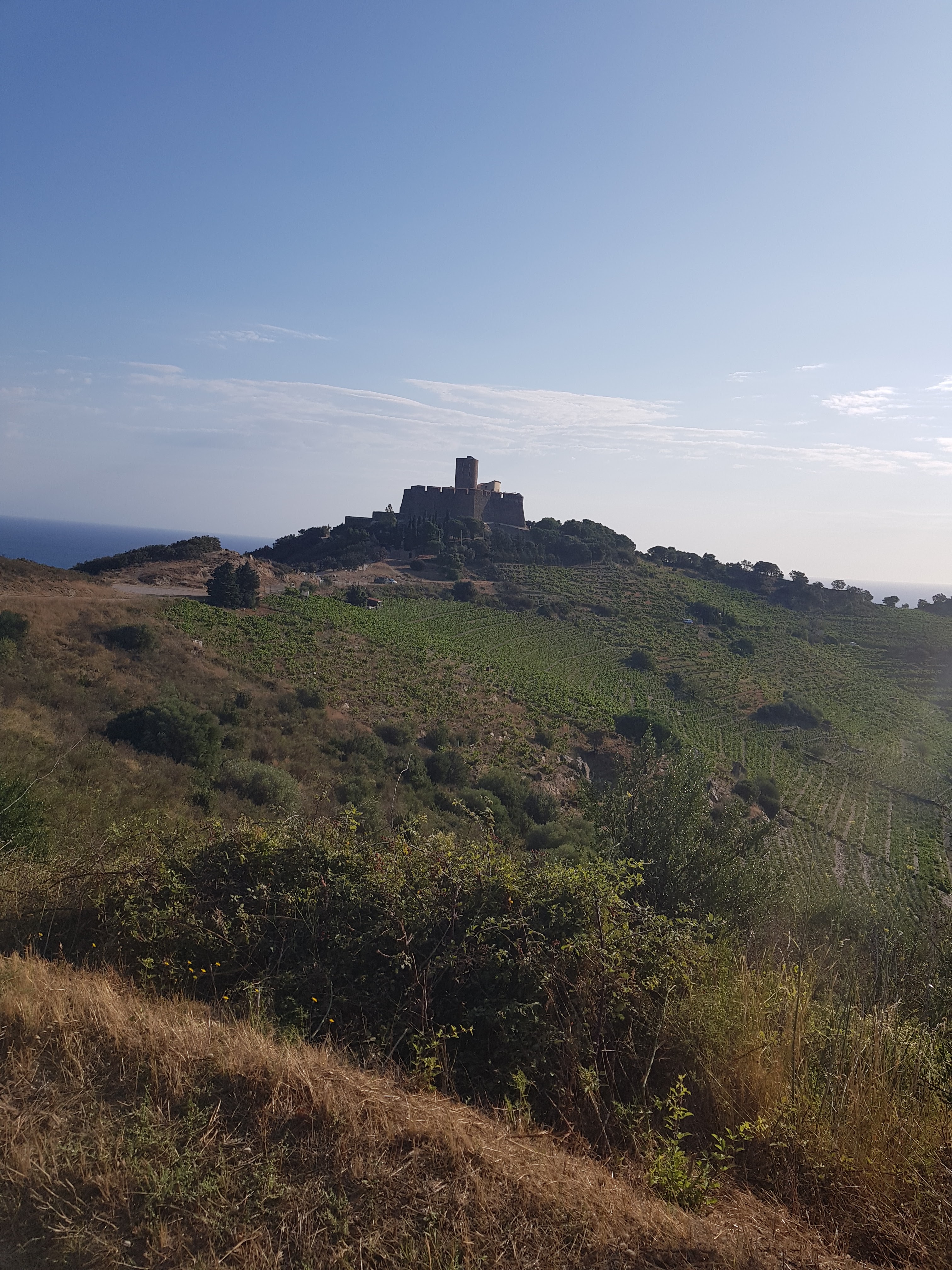 Photo n° 2 de l'avis de Bertrand.h fait le 30/07/2019 à 10:21