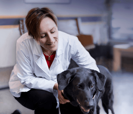 Fisher Glen Animal Hospital image