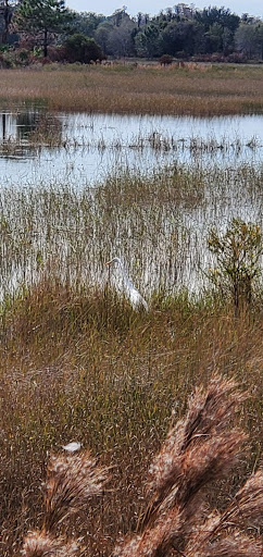 Nature Preserve «Conner Preserve», reviews and photos, 22500 FL-52, Land O Lakes, FL 34637, USA