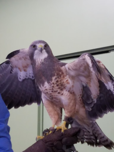 Nature Preserve «Carpenter Nature Center», reviews and photos, 12805 St Croix Trail S, Hastings, MN 55033, USA