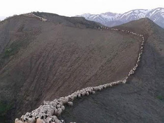 Bağlar Belediyesi Eğitim Destek Evi