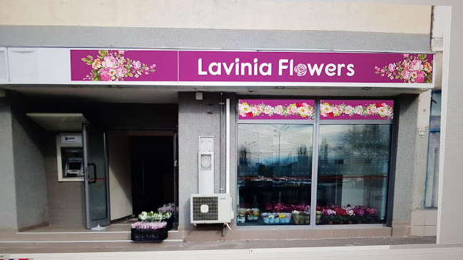 Lavinia Flowers