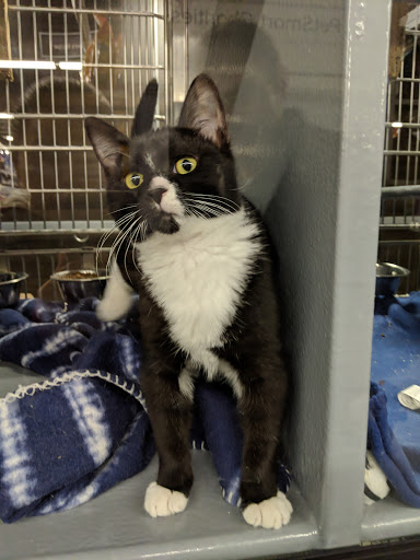 Pet Store «PetSmart», reviews and photos, 2891 Ygnacio Valley Rd, Walnut Creek, CA 94598, USA