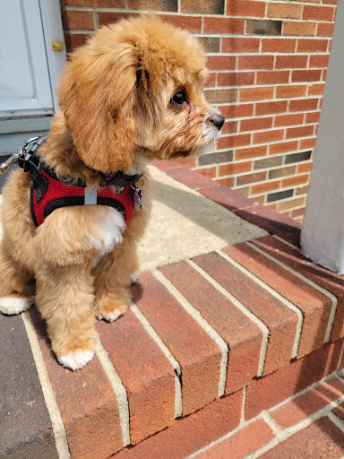 Pet Supply Store «PetSmart», reviews and photos, 1515 US-22, Watchung, NJ 07069, USA