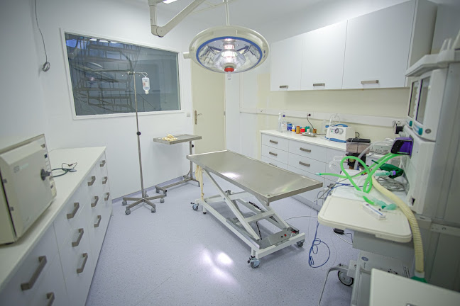 VetHouse - Γλυφάδα