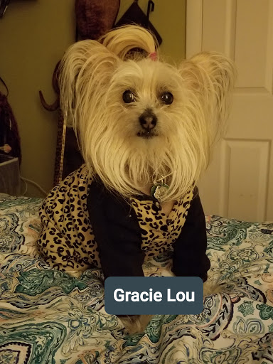 Pet Supply Store «Animal Krackers Inc», reviews and photos, 232 Main St, Gloucester, MA 01930, USA