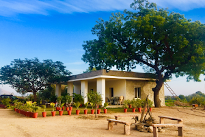 Ramnagar Jawai Farm image