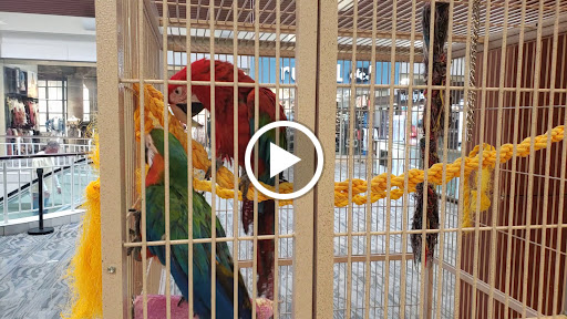 Pet Store «Petland Topeka», reviews and photos, 1801 SW Wanamaker Rd, Topeka, KS 66614, USA