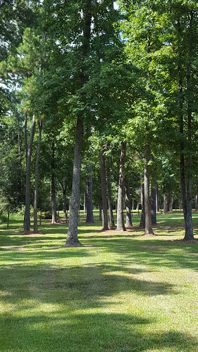 Park «Telge Park», reviews and photos, 12400 Pleasant Grove Rd, Cypress, TX 77429, USA