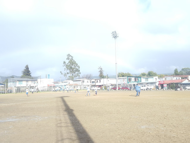 Opiniones de Cancha Industrial en Concepción - Campo de fútbol