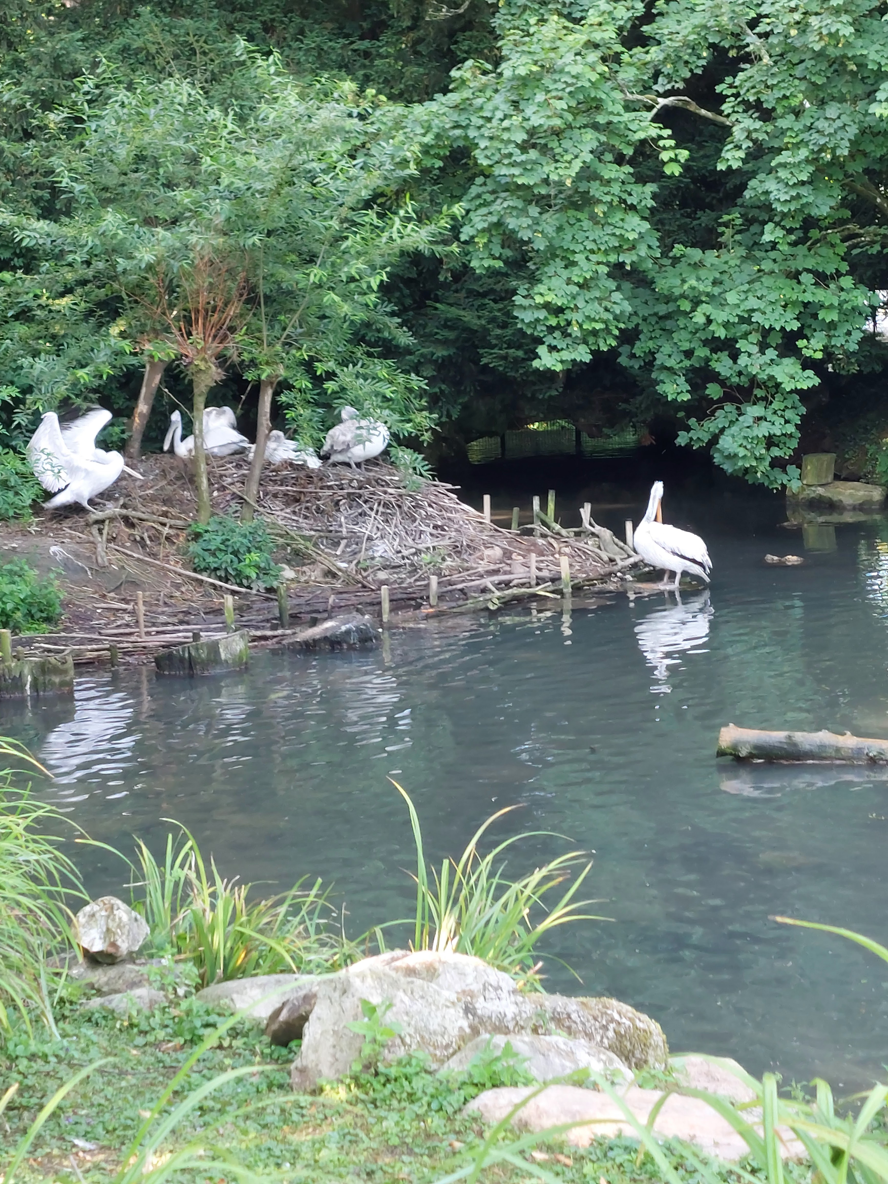 Photo n° 3 de l'avis de Bruno.a fait le 07/07/2023 à 14:52