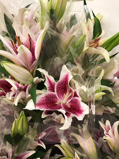 Wholesale Florist «Oakland Flower Market», reviews and photos, 821 Jefferson St, Oakland, CA 94607, USA