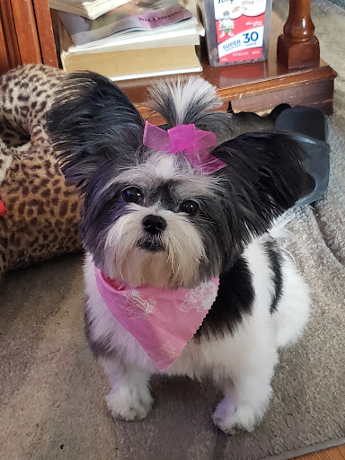 Department Store «Walmart Supercenter», reviews and photos, 310 W 5th St, Benton, KY 42025, USA