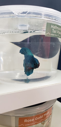 Pet Supply Store «Petco Animal Supplies», reviews and photos, 1065 Kennedy Rd, Windsor, CT 06095, USA