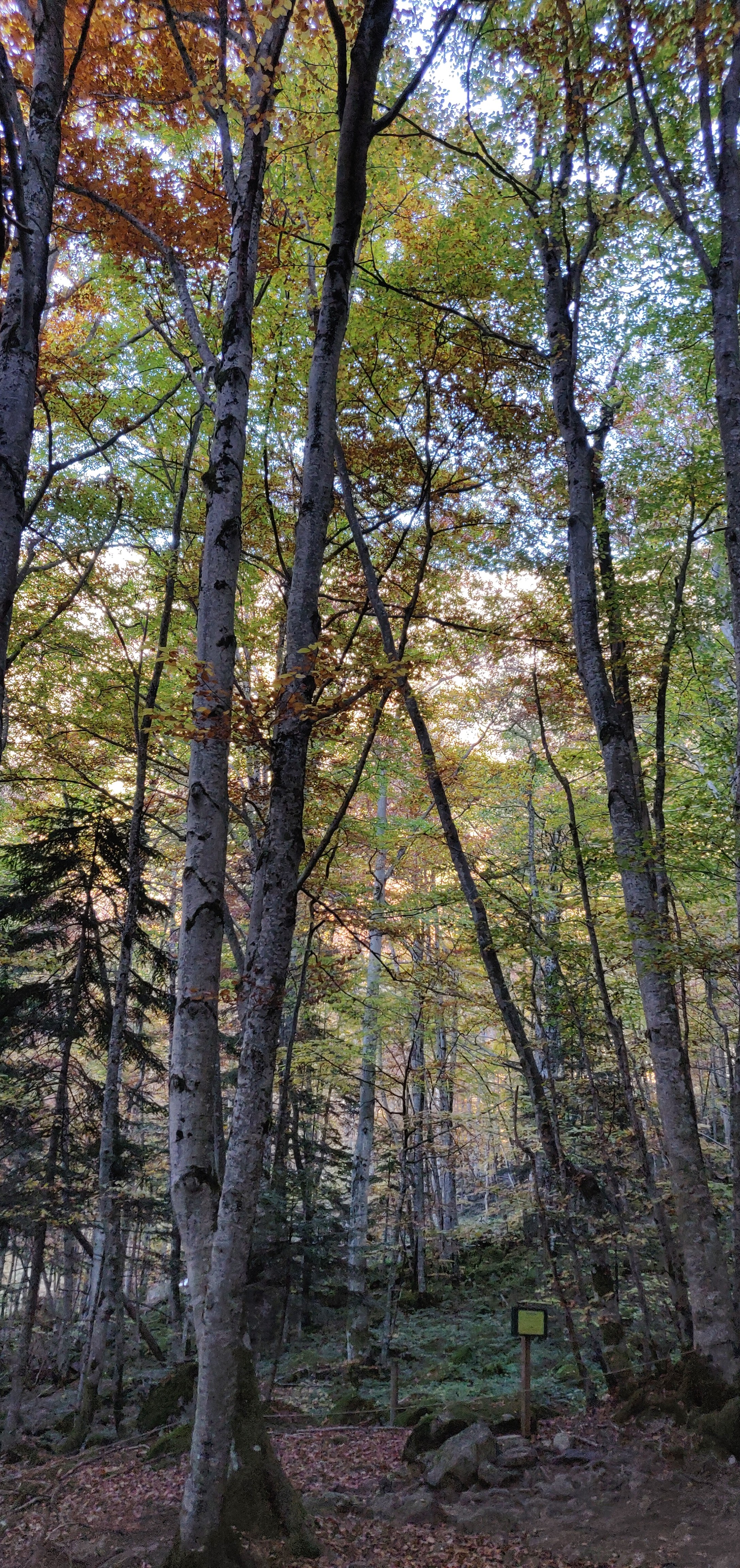 Photo n° 3 de l'avis de Arti.l fait le 29/10/2021 à 16:50
