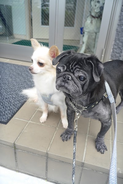 まちやはら犬猫病院