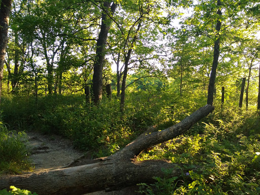 Nature Preserve «Spring Creek Forest Preserve», reviews and photos, 1770 Holford Rd, Garland, TX 75044, USA