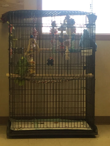 Auto Repair Shop «Complete Car & RV Repair», reviews and photos, 3309 New Town Blvd, St Charles, MO 63301, USA