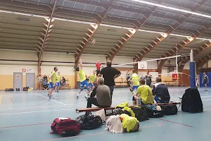 Sporta Brussels Volleyball Club image