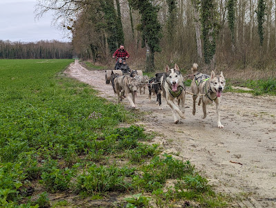 Des Papattes dans la Boue à Bouvancourt