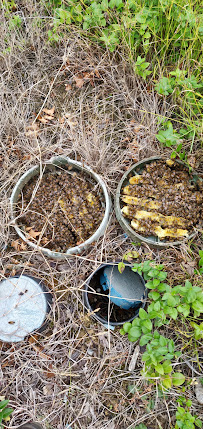 Bee Man Removal and Relocation Del Mar - Photo 8 - Car repair in Del Mar, CA, Escondido