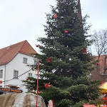 Photo n°2 de l'avis de Sudipta.h fait le 10/02/2019 à 09:30 sur le  Alte Marktschenke à Pritzwalk