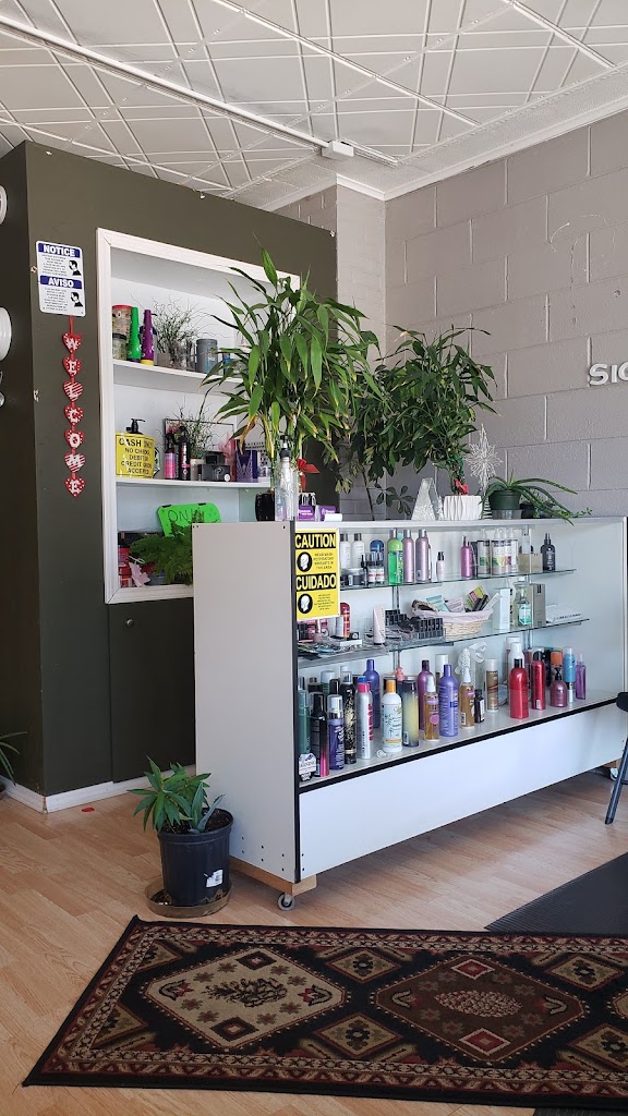 Renacer Hair Salon 60185