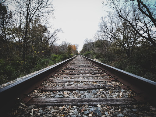 Park «Mather Woods Forest Preserve», reviews and photos, 25032 W Renwick Rd, Plainfield, IL 60544, USA