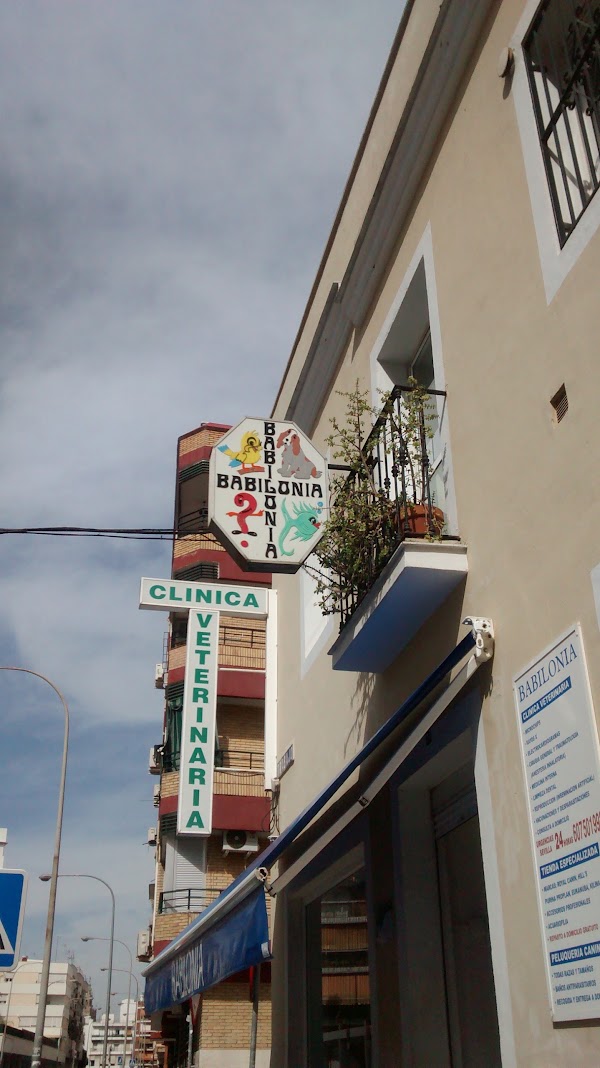Babilonia