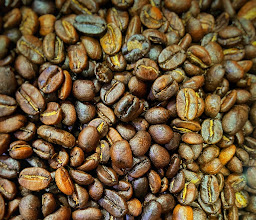 Cafe Organico Rojo Arabigo photo