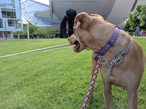 Art Museum «Denver Art Museum», reviews and photos, 100 W 14th Ave Pkwy, Denver, CO 80204, USA