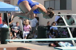California Diving Academy image