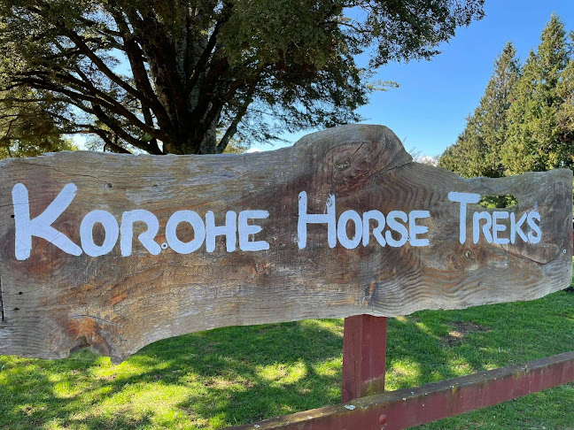 Korohe Horse Treks - Sports Complex