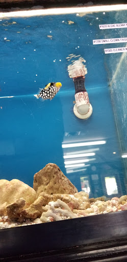 Tropical Fish Store «Two Turtles Pet Center», reviews and photos, 760 W Market St, Akron, OH 44303, USA
